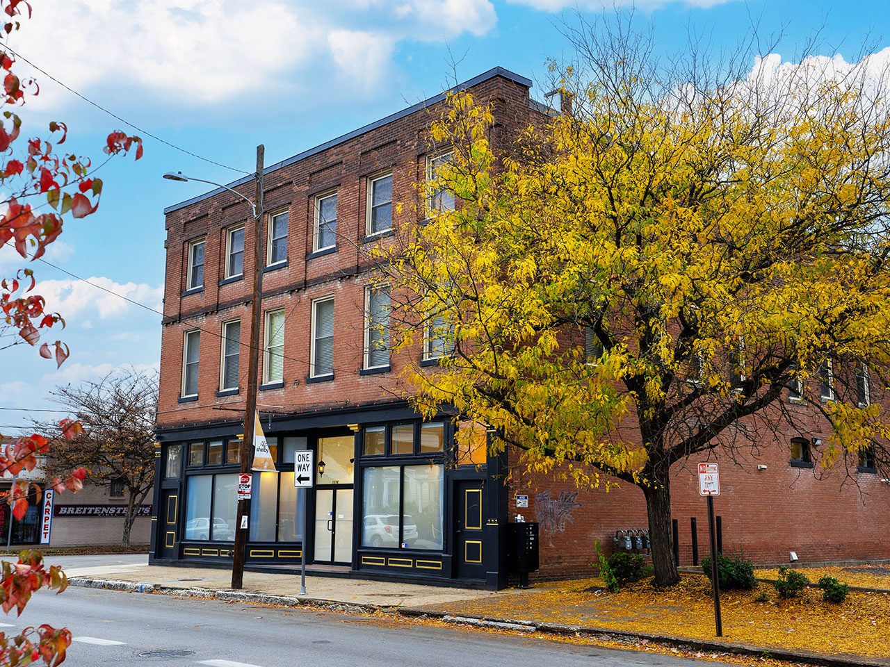 Louisville Kentucky short term rental blue sky and building behind tree