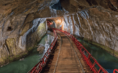 Top 10 Things to Do in Louisville: Your Ultimate Guide