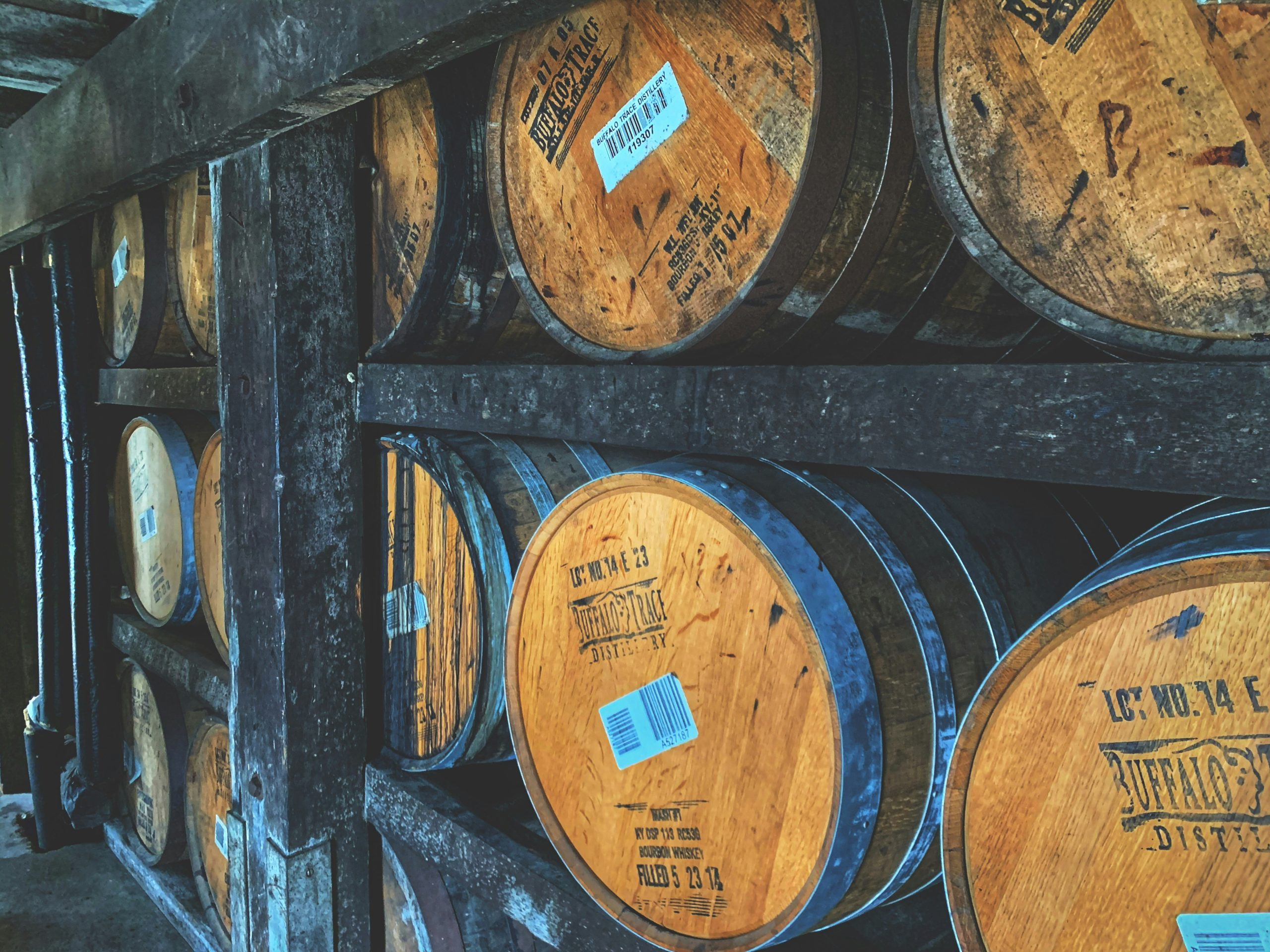 josh-collesano-coTTvjild6U-unsplash fun things to do in louisville