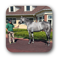 Whiskey & Winner's Package