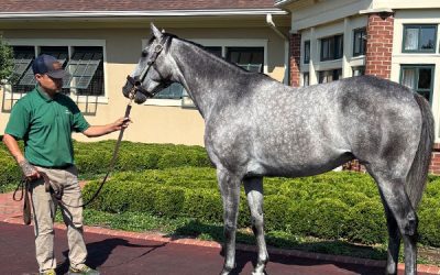 NAILE Louisville Group Accommodations 2025