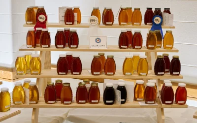 Large Group Lodging for NAHBE 2026 in Louisville Kentucky